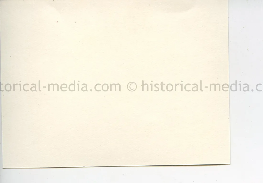 ORIGINAL PROFESSIONAL PHOTO OF HITLER GIVING A SPEECH
