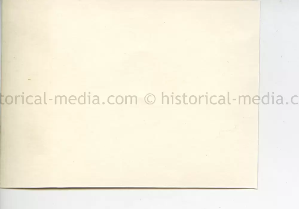 ORIGINAL PROFESSIONAL PHOTO OF HITLER GIVING A SPEECH