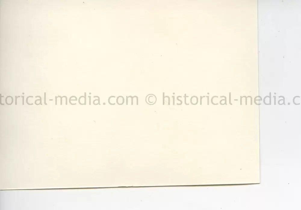 ORIGINAL PROFESSIONAL PHOTO OF HITLER GIVING A SPEECH