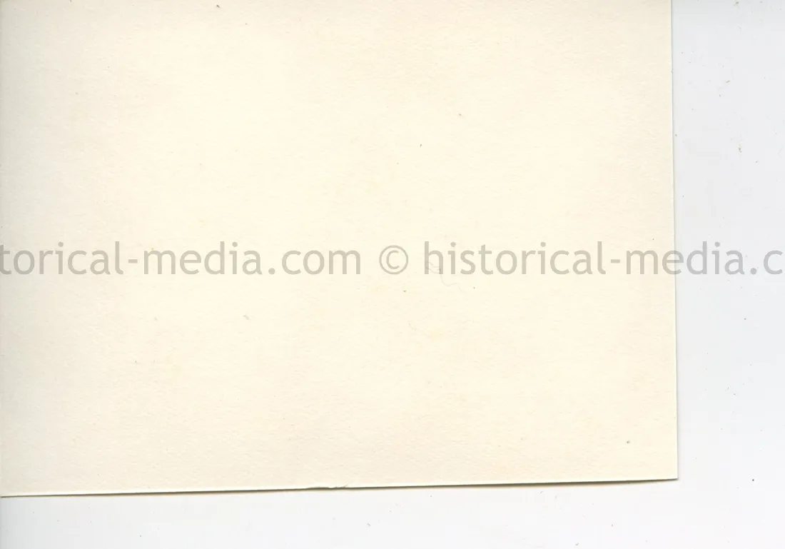ORIGINAL PROFESSIONAL PHOTO OF HITLER GIVING A SPEECH