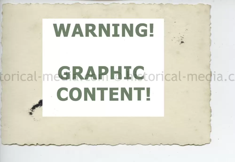 20250604 1384 1.webp