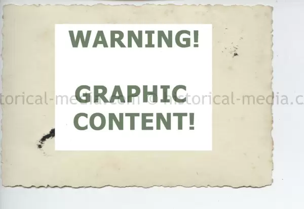 20250604 1384 1.webp