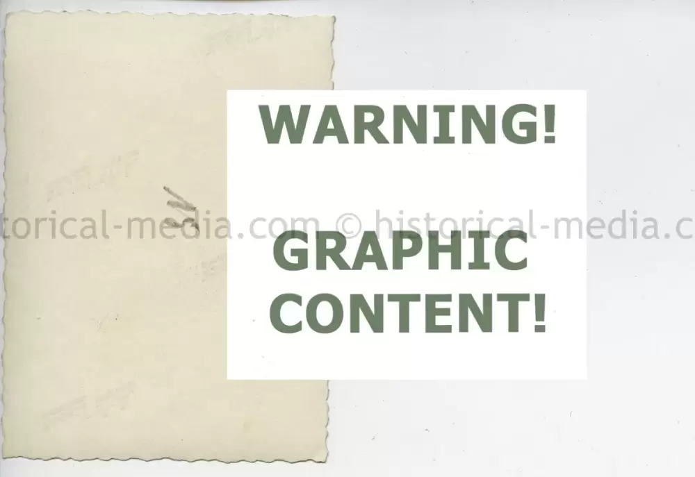 20250604 1386 1.webp