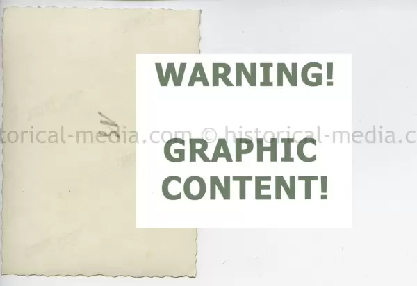 20250604 1386 1.webp