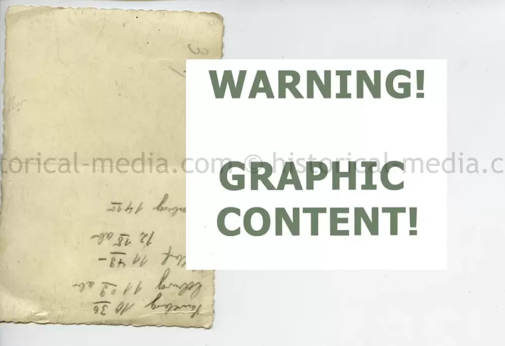 20250604 1388 1.webp