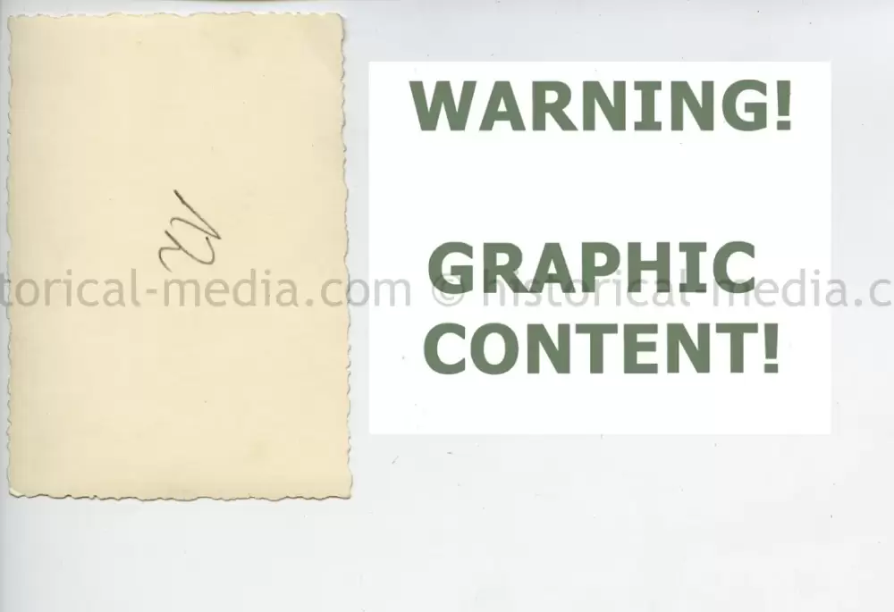 20250604 1390 1.webp