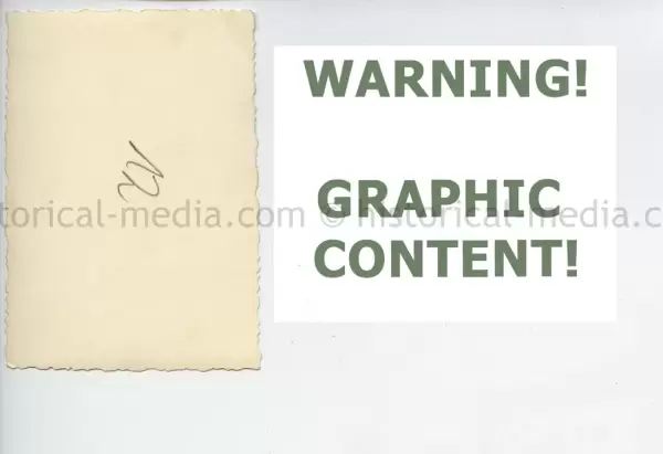 20250604 1390 1.webp