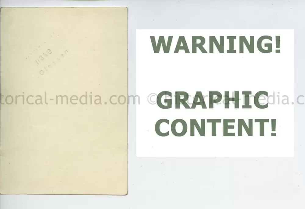 20250604 1392 1.webp