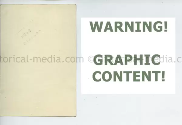 20250604 1392 1.webp