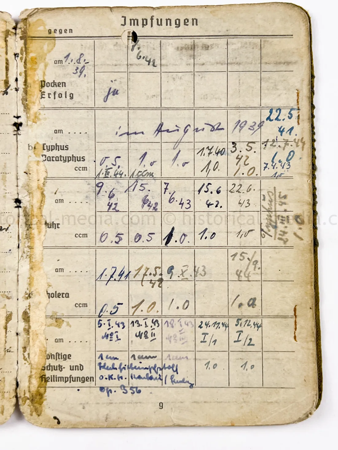 SOLDBUCH - PANZER JÄGER ABTEILUNG 43 - 8. PANZER DIVISION