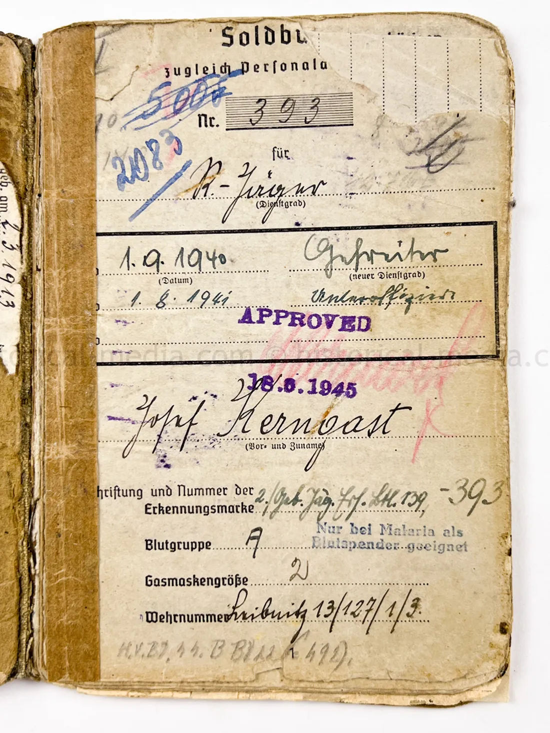 SOLDBUCH - (FLA) PANZER JÁGER ABTEILUNG 100 - 100 JÁGER DIVISION - HEERES FLAK