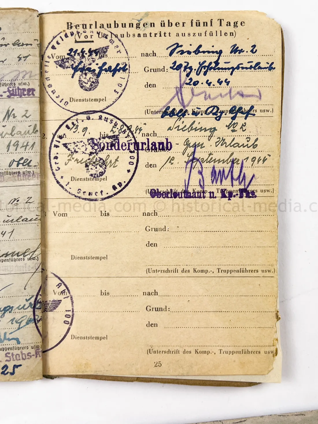 SOLDBUCH - (FLA) PANZER JÁGER ABTEILUNG 100 - 100 JÁGER DIVISION - HEERES FLAK