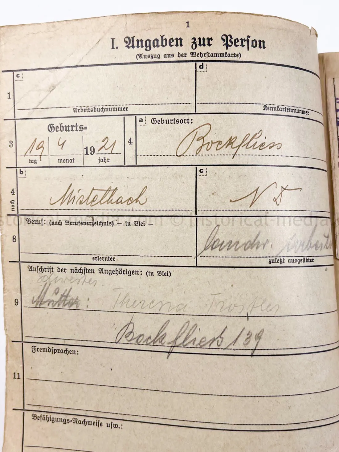 WEHRSTAMMBUCH - PANZER PIONIER - DENMARK