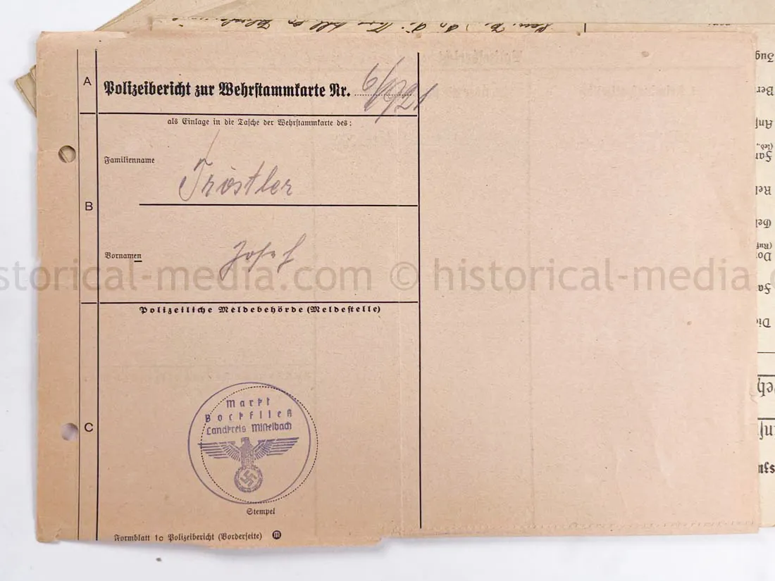 WEHRSTAMMBUCH - PANZER PIONIER - DENMARK