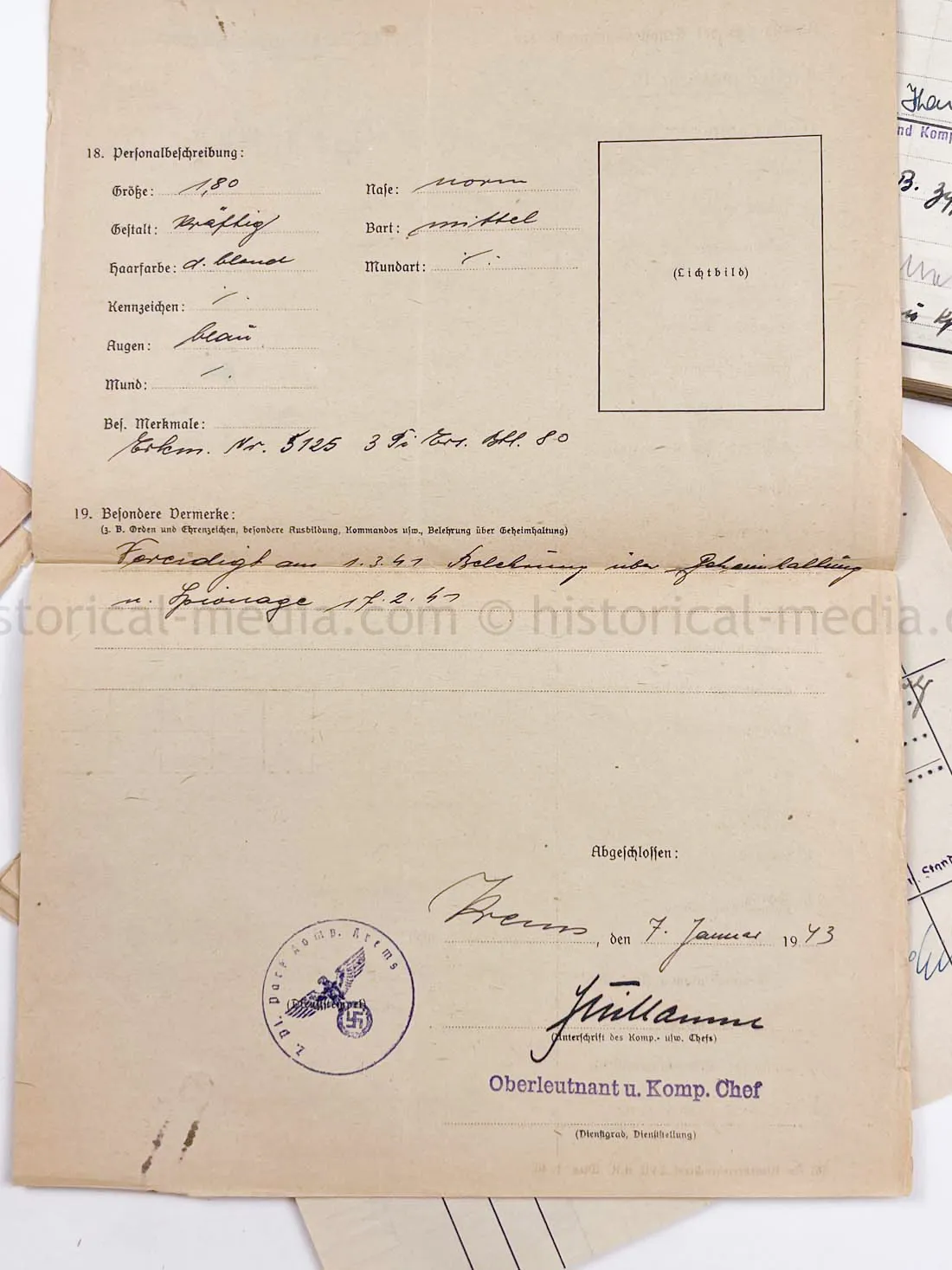 WEHRSTAMMBUCH - PANZER PIONIER - DENMARK