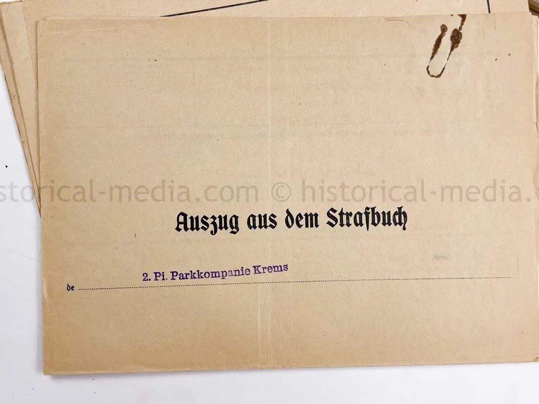 WEHRSTAMMBUCH - PANZER PIONIER - DENMARK