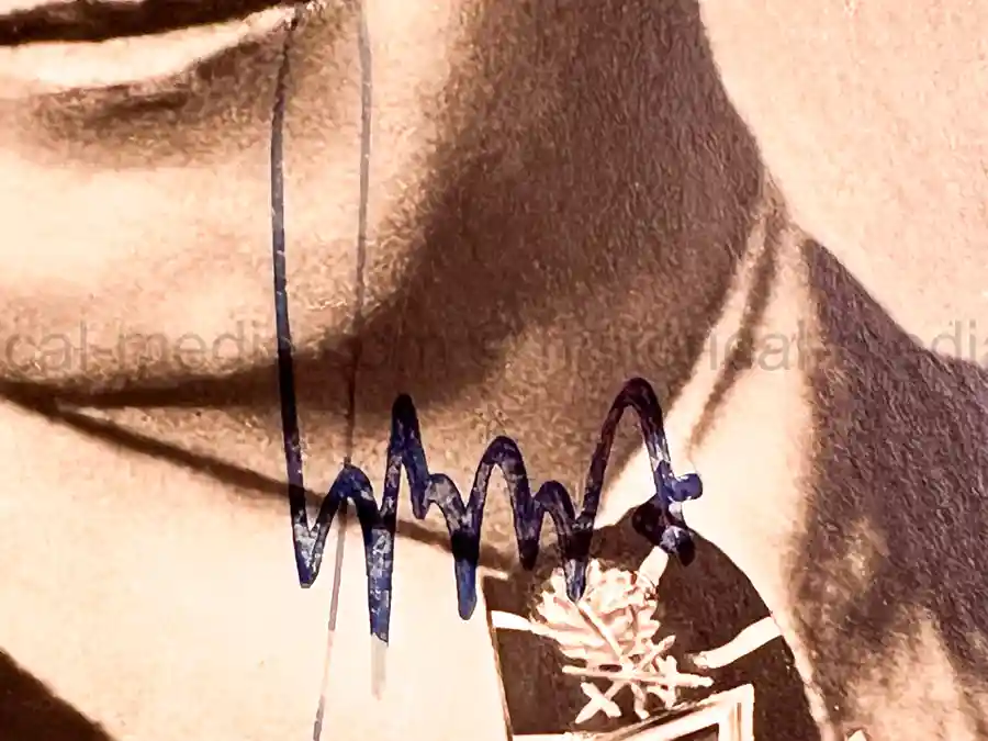 WARTIME KNIGHTS CROSS WINNER PORTRAIT & SIGNATURE - NIGHTFIGHTER- HELMUT LENT